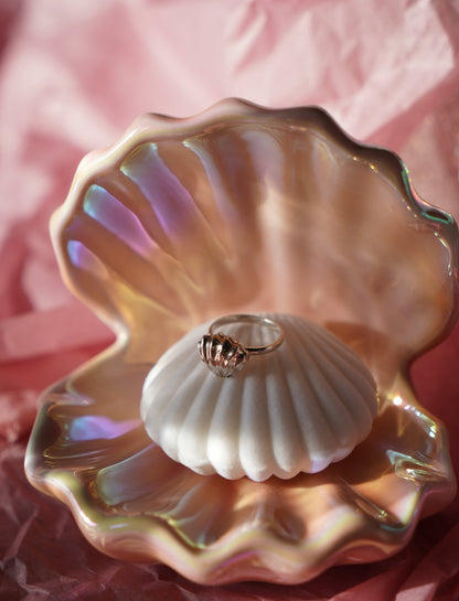 Secret ring