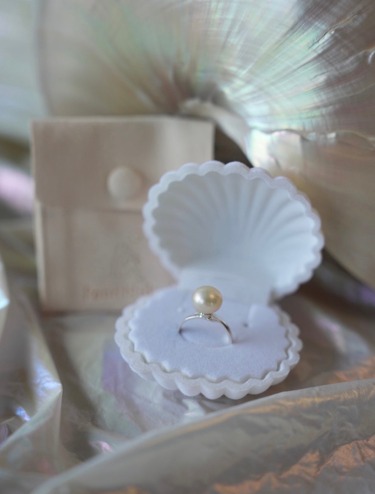 Hidden treasure ring